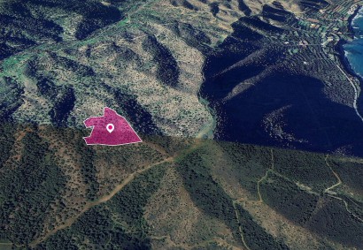 Pomos, Paphos Agricultural Land For Sale | DT1307