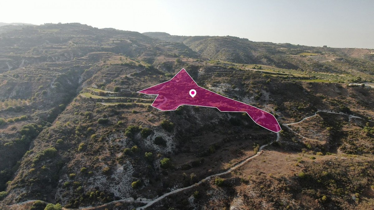 Agricultural Field, Theletra, Paphos