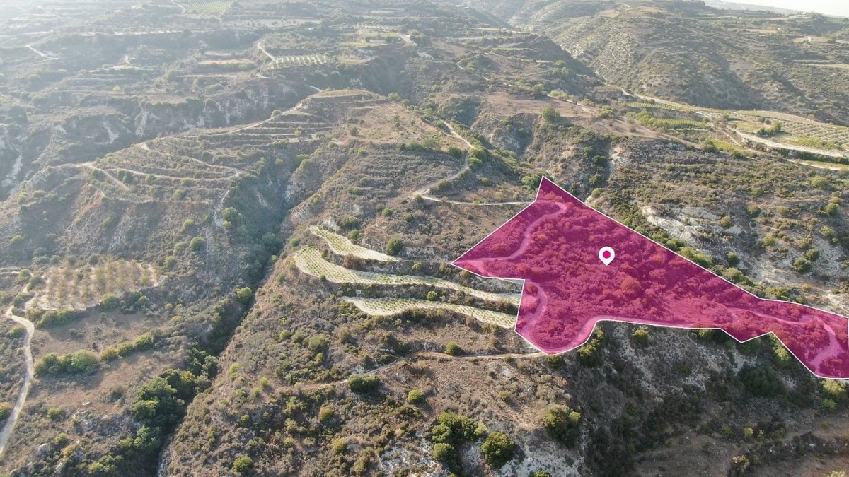 Agricultural Field, Theletra, Paphos