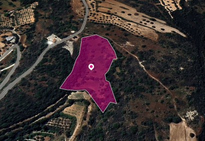 Akourdaleia Pano Agricultural Land For Sale | DT1310