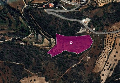 Akourdaleia Pano Agricultural Land For Sale | DT1310