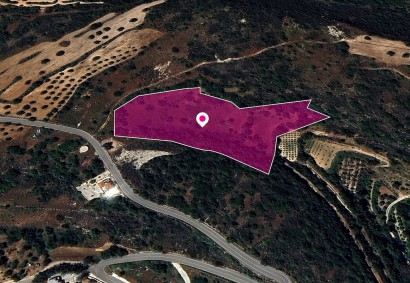 Akourdaleia Pano Agricultural Land For Sale | DT1310