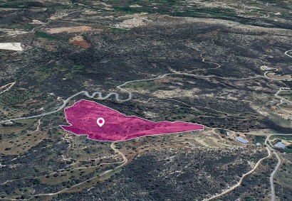 Agios Isidoros, Paphos Agricultural Land For Sale | DT1313