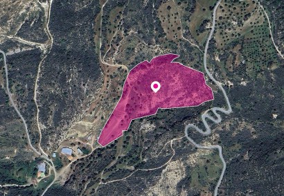 Agios Isidoros, Paphos Agricultural Land For Sale | DT1313