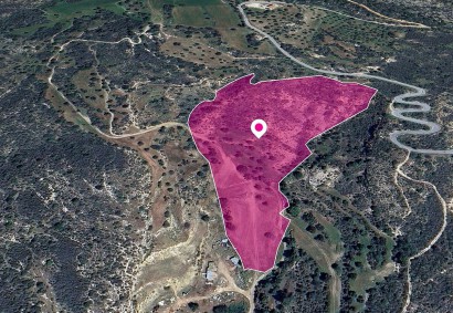 Agios Isidoros, Paphos Agricultural Land For Sale | DT1313