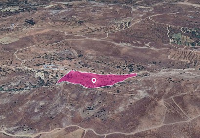 Kelokedara, Paphos Agricultural Land For Sale | DT1319