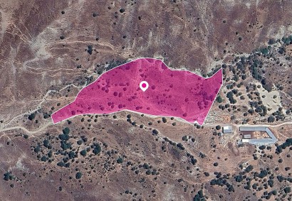 Kelokedara, Paphos Agricultural Land For Sale | DT1319