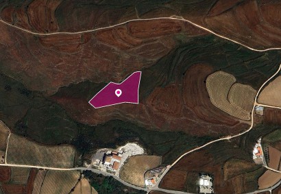 Kathikas, Paphos Agricultural Land For Sale | DT1320
