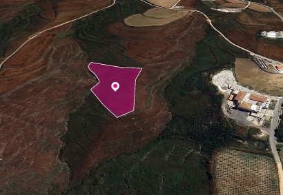 Kathikas, Paphos Agricultural Land For Sale | DT1320