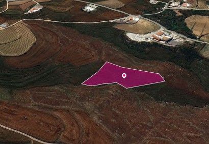 Kathikas, Paphos Agricultural Land For Sale | DT1320