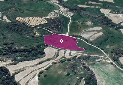 Polemi, Paphos Agricultural Land For Sale | DT1323