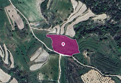 Polemi, Paphos Agricultural Land For Sale | DT1323