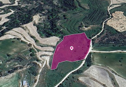 Polemi, Paphos Agricultural Land For Sale | DT1323
