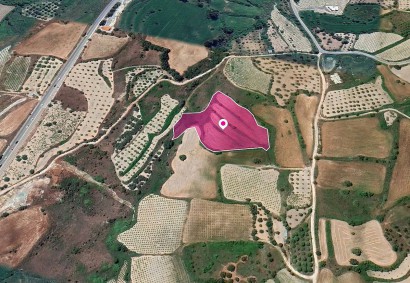 Theletra, Paphos Agricultural Land For Sale | DT1325