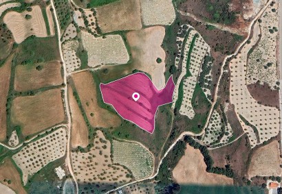 Theletra, Paphos Agricultural Land For Sale | DT1325