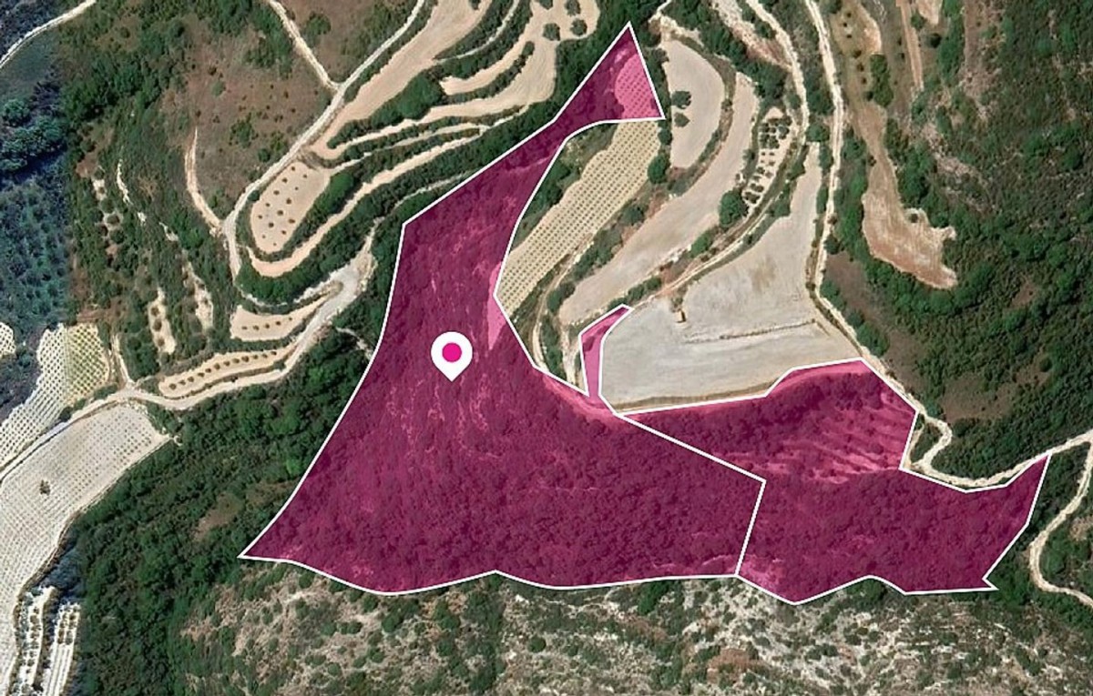 Theletra, Paphos Agricultural Land For Sale | DT1330