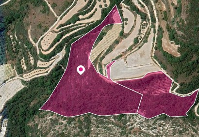 Theletra, Paphos Agricultural Land For Sale | DT1330