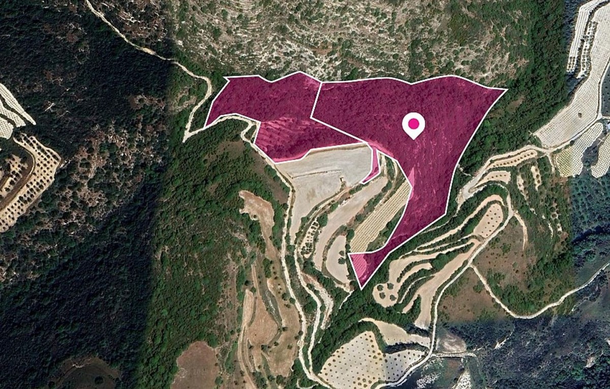 Two Agricultural and Special protection fields in Theletra, Paphos