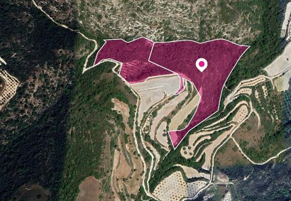 Theletra, Paphos Agricultural Land For Sale | DT1330
