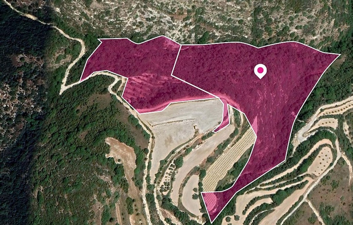 Two Agricultural and Special protection fields in Theletra, Paphos