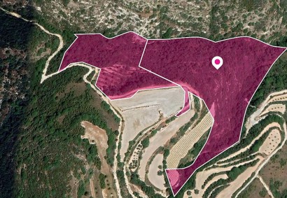 Theletra, Paphos Agricultural Land For Sale | DT1330