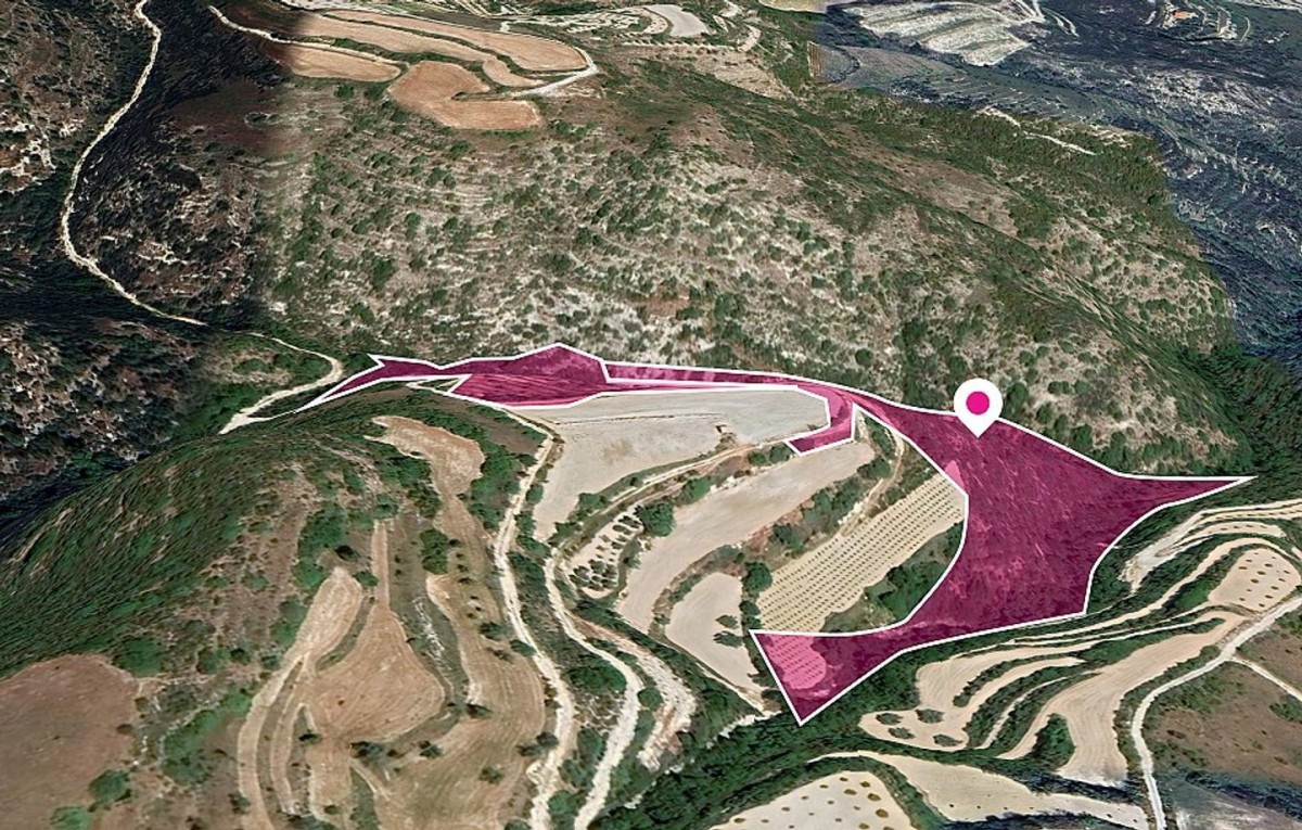 Two Agricultural and Special protection fields in Theletra, Paphos