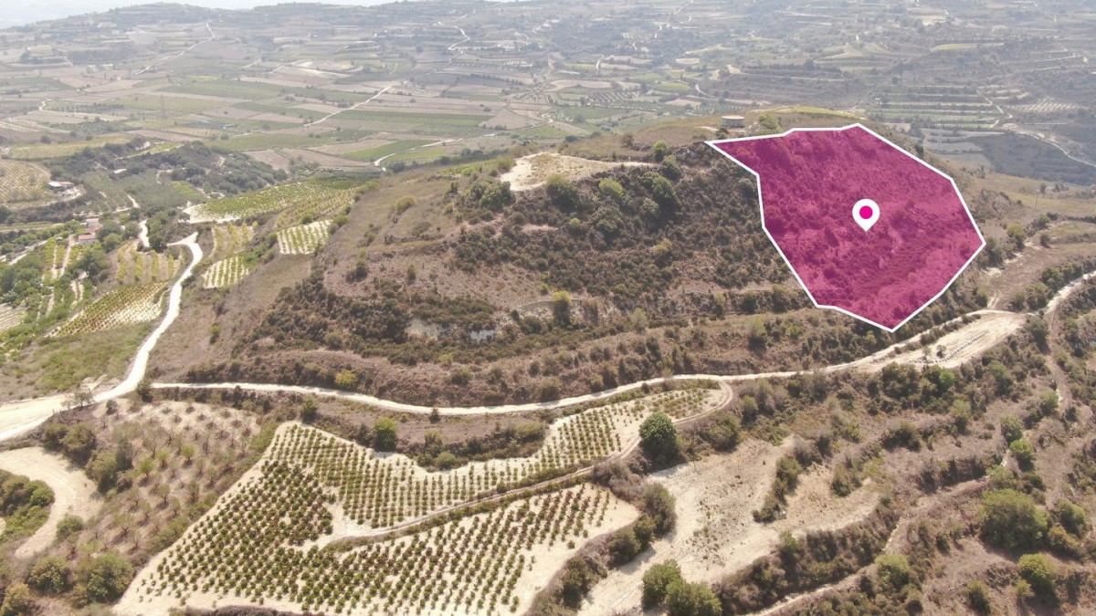 Stroumbi, Paphos Agricultural Land For Sale | DT1338