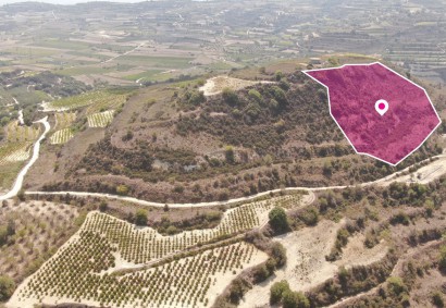 Stroumbi, Paphos Agricultural Land For Sale | DT1338