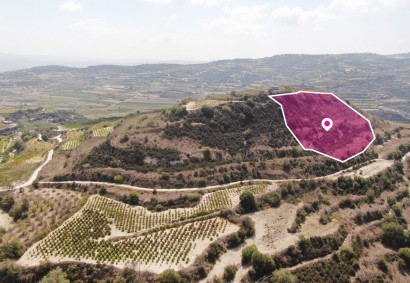 Stroumbi, Paphos Agricultural Land For Sale | DT1338