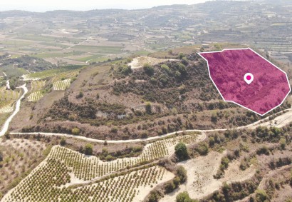 Stroumbi, Paphos Agricultural Land For Sale | DT1338