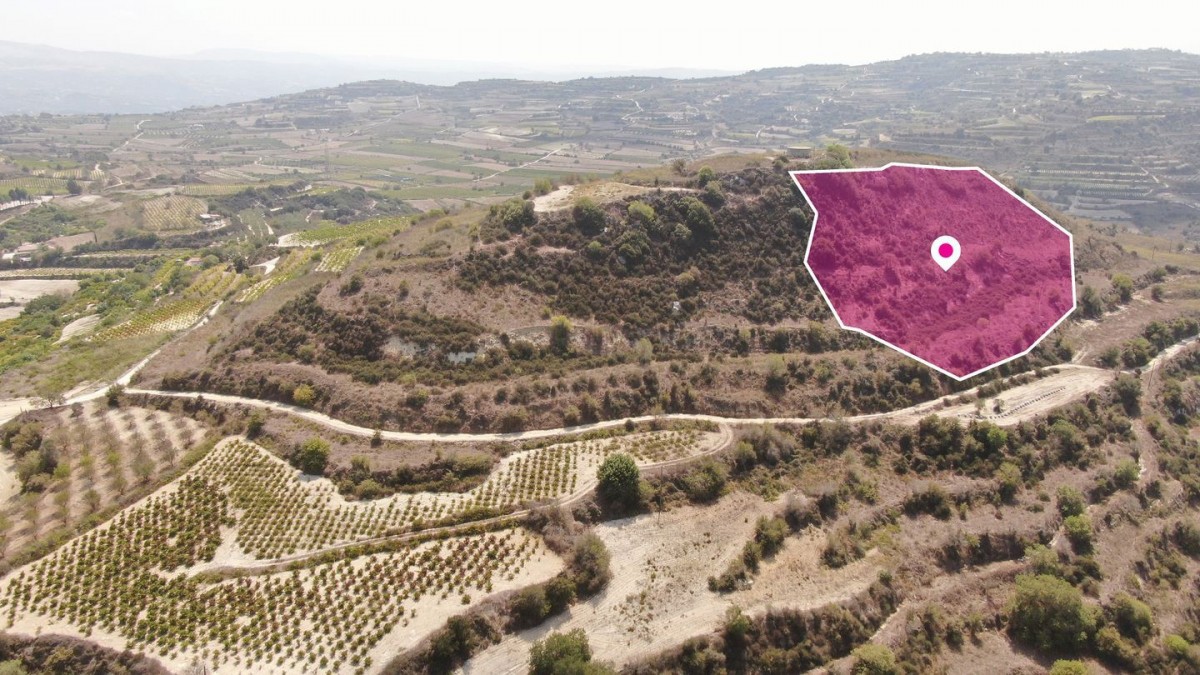 Agricultural Field, Stroumbi, Paphos