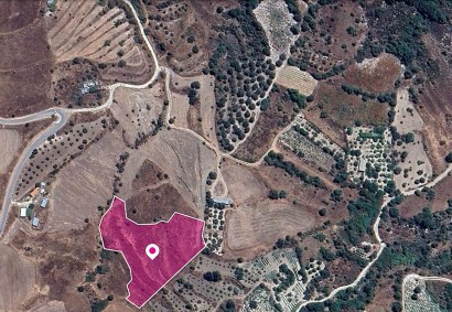Panagia, Paphos Agricultural Land For Sale | DT1346