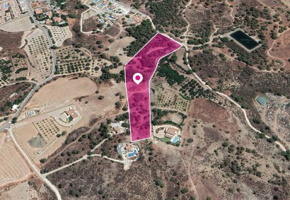 Makounta, Paphos Agricultural Land For Sale | DT1354