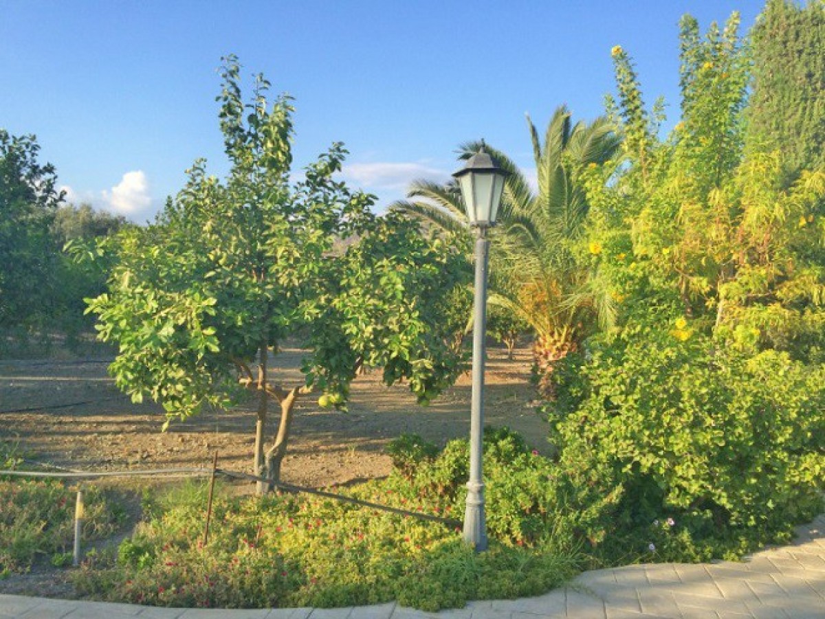IMG-7659-7659-19