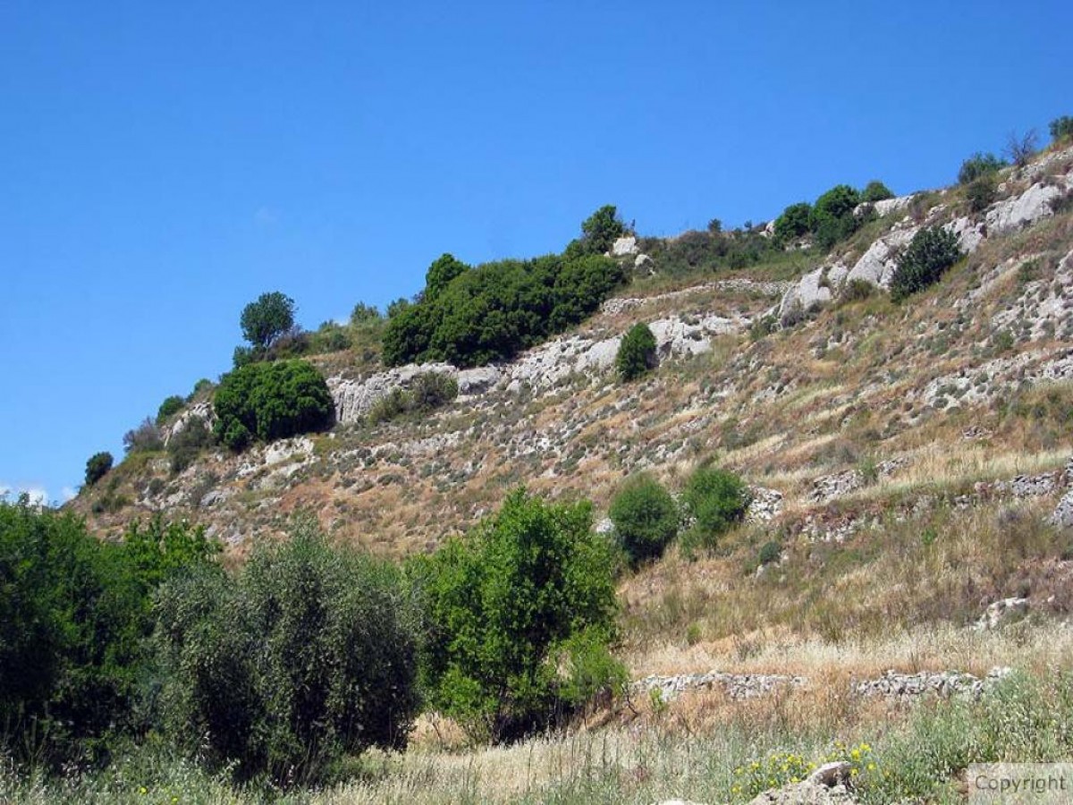 Letymbou, Paphos Residential Land For Sale | DT1528