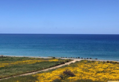 Argaka, Paphos Detached Villa For Sale | DT1598