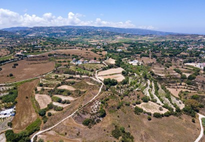Polemi, Paphos Agricultural Land For Sale | DT1622