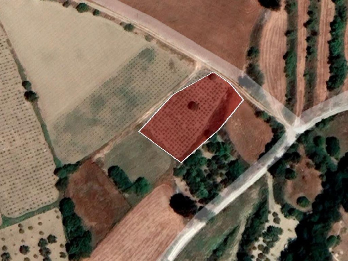 Field - Polemi, Paphos