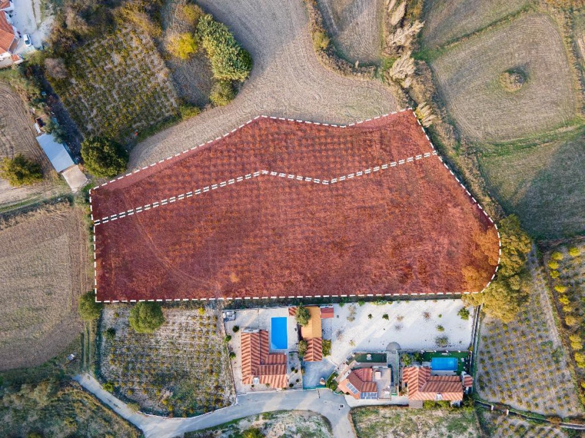 Field - Polemi, Paphos