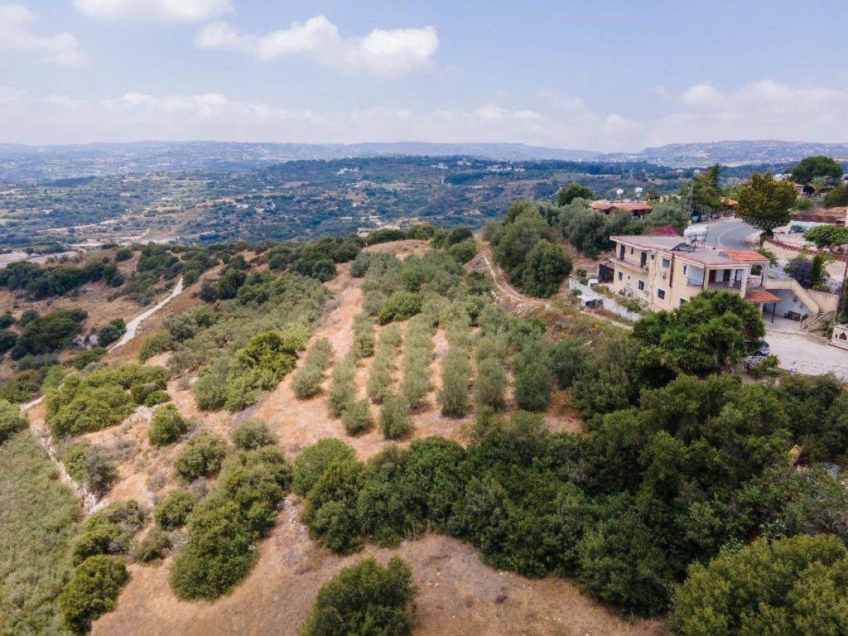Field - Psathi, Paphos