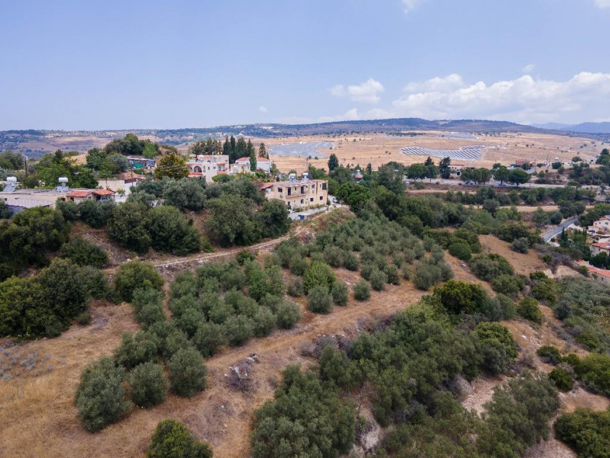 Field - Psathi, Paphos