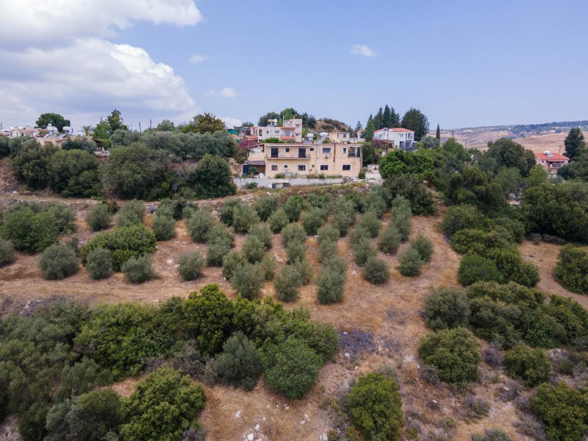 Field - Psathi, Paphos