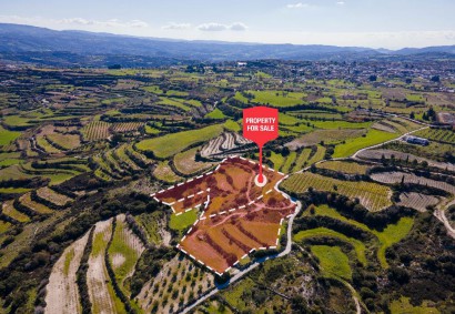 Polemi, Paphos Agricultural Land For Sale | DT1642