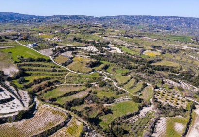 Polemi, Paphos Agricultural Land For Sale | DT1642