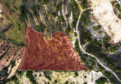 Koili, Paphos Residential Land For Sale | DT1644