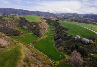 Steni, Paphos Agricultural Land For Sale | DT1652