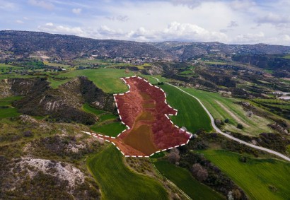 Steni, Paphos Agricultural Land For Sale | DT1652