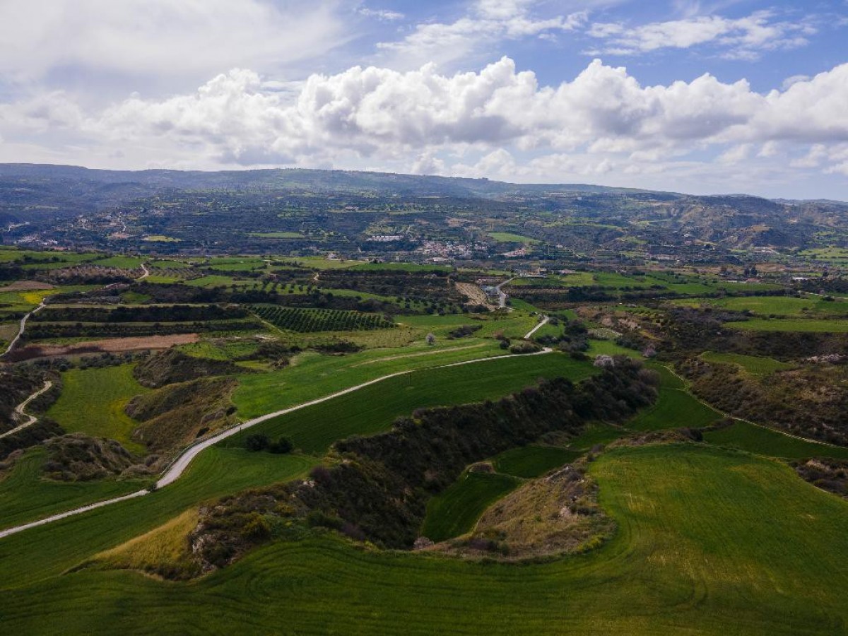 Field - Steni, Paphos