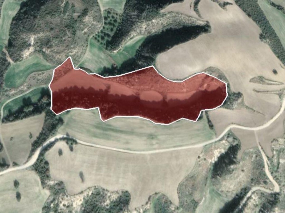 Field - Steni, Paphos