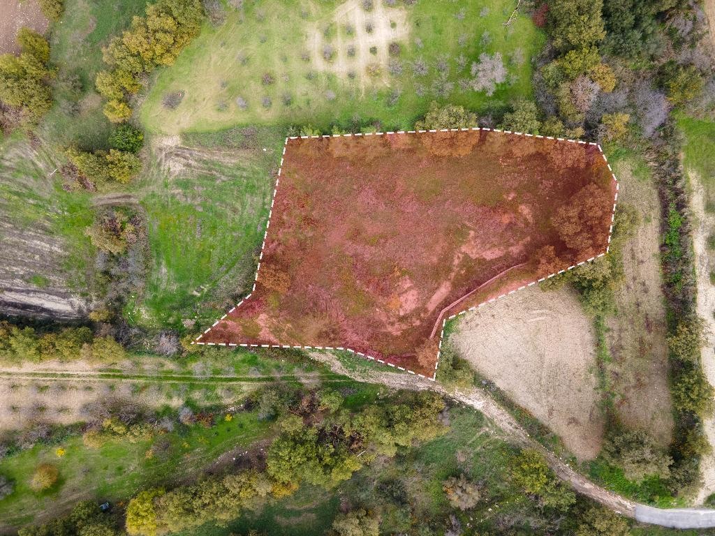 Field - Stroumpi, Paphos